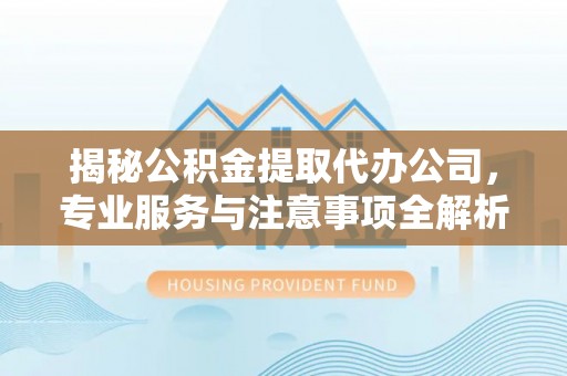 兴国揭秘公积金提取代办公司，专业服务与注意事项全解析