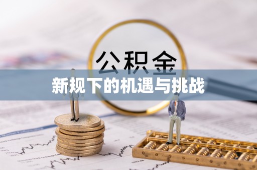 兴国新规下的机遇与挑战