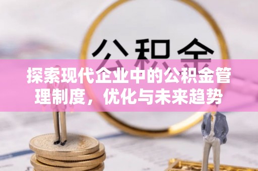 兴国探索现代企业中的公积金管理制度，优化与未来趋势