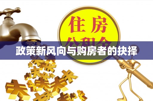 兴国政策新风向与购房者的抉择