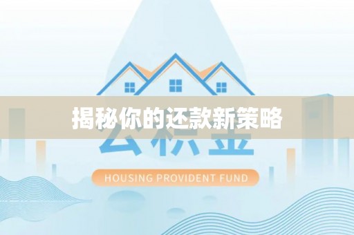 兴国揭秘你的还款新策略