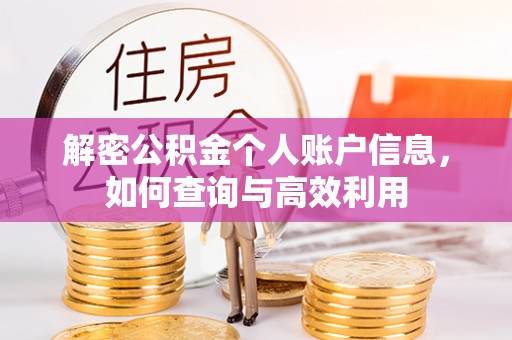 兴国解密公积金个人账户信息，如何查询与高效利用