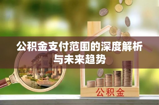 兴国公积金支付范围的深度解析与未来趋势