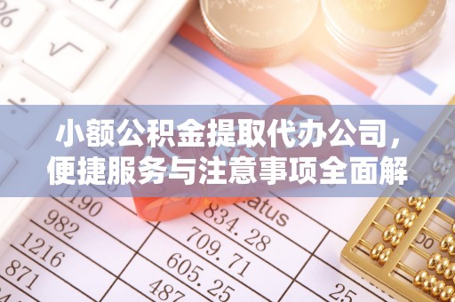 兴国小额公积金提取代办公司，便捷服务与注意事项全面解析