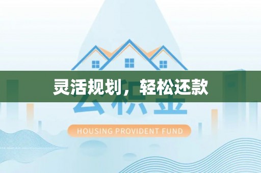 兴国灵活规划，轻松还款