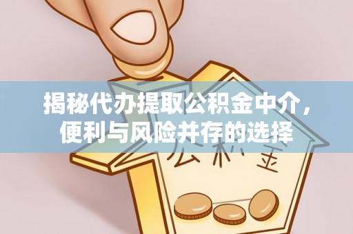 兴国揭秘代办提取公积金中介，便利与风险并存的选择