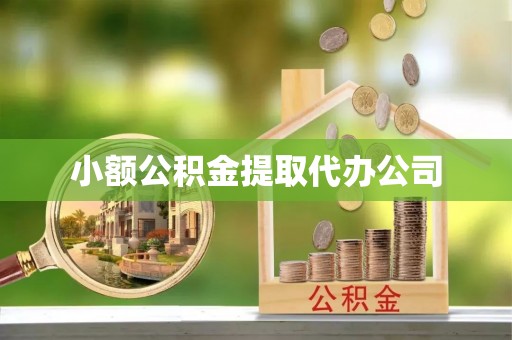 兴国小额公积金提取代办公司