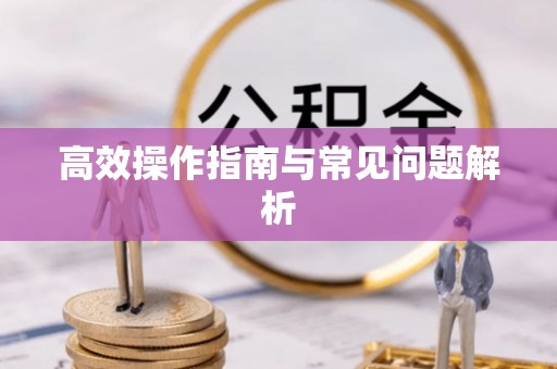 兴国高效操作指南与常见问题解析