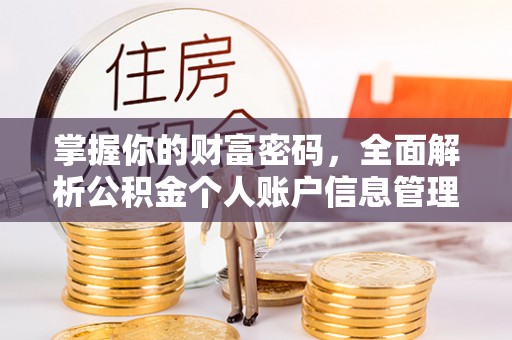 兴国掌握你的财富密码，全面解析公积金个人账户信息管理与优化