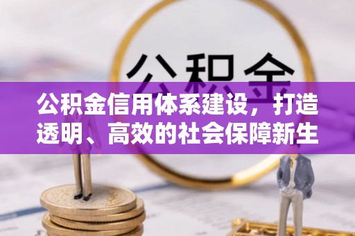 兴国公积金信用体系建设，打造透明、高效的社会保障新生态