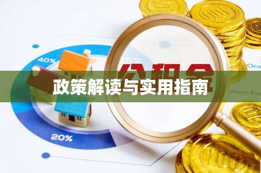 兴国政策解读与实用指南