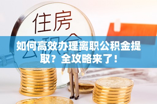 兴国如何高效办理离职公积金提取？全攻略来了！
