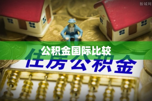 兴国公积金国际比较