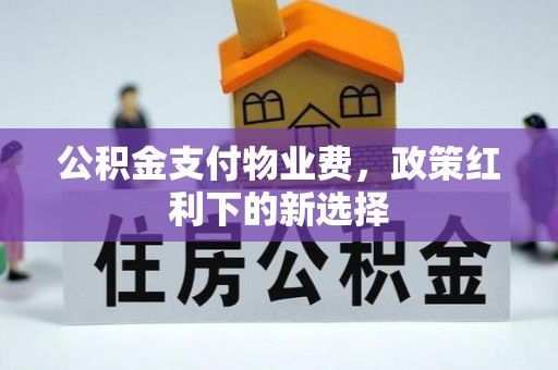 兴国公积金支付物业费，政策红利下的新选择