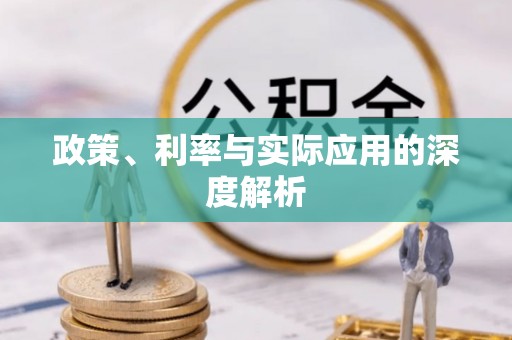 兴国政策、利率与实际应用的深度解析