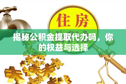 兴国揭秘公积金提取代办吗，你的权益与选择