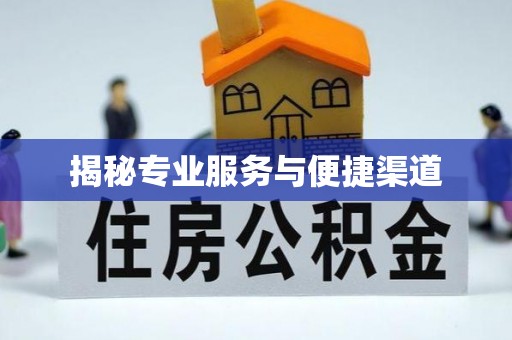 兴国揭秘专业服务与便捷渠道