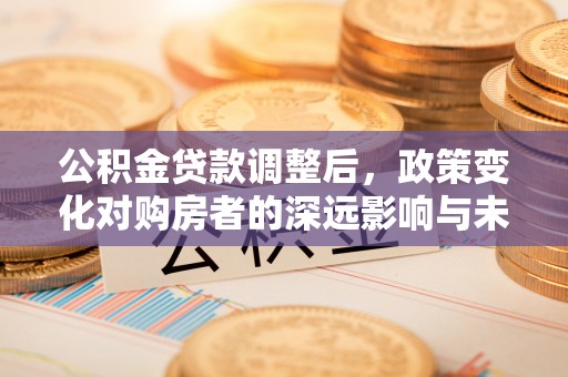 兴国公积金贷款调整后，政策变化对购房者的深远影响与未来趋势分析