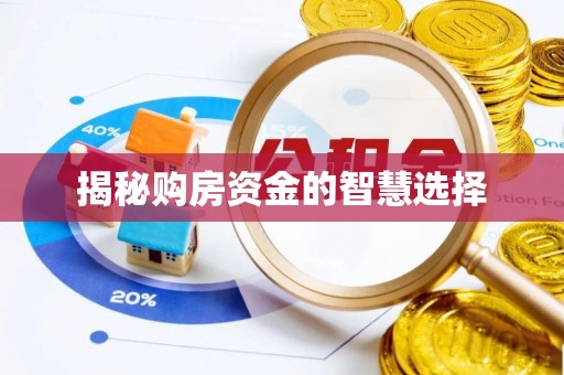 兴国揭秘购房资金的智慧选择