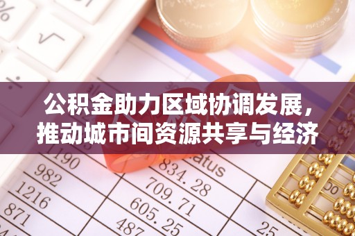 兴国公积金助力区域协调发展，推动城市间资源共享与经济均衡发展