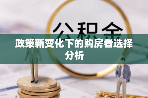 兴国政策新变化下的购房者选择分析