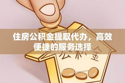 兴国住房公积金提取代办，高效便捷的服务选择