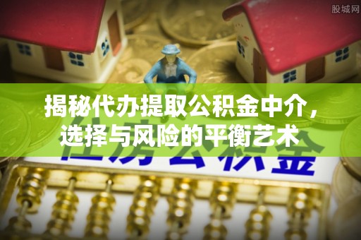兴国揭秘代办提取公积金中介，选择与风险的平衡艺术