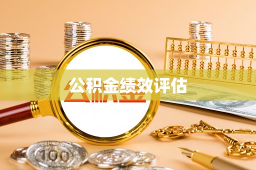 兴国公积金绩效评估
