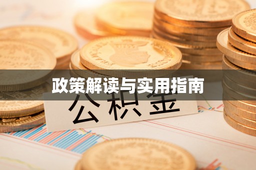 兴国政策解读与实用指南