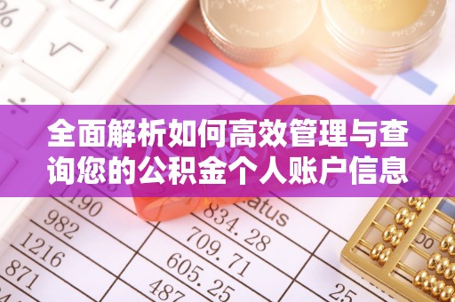 兴国全面解析如何高效管理与查询您的公积金个人账户信息