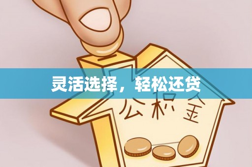 兴国灵活选择，轻松还贷