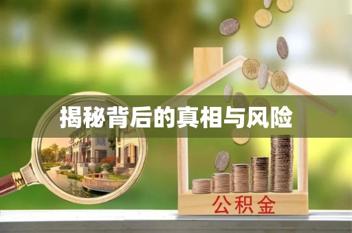 兴国揭秘背后的真相与风险