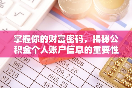 兴国掌握你的财富密码，揭秘公积金个人账户信息的重要性