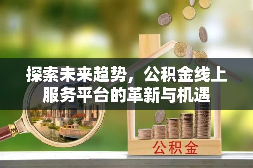 兴国探索未来趋势，公积金线上服务平台的革新与机遇