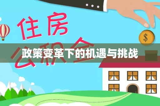 兴国政策变革下的机遇与挑战