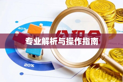 兴国专业解析与操作指南
