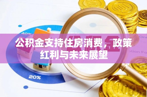 兴国公积金支持住房消费，政策红利与未来展望