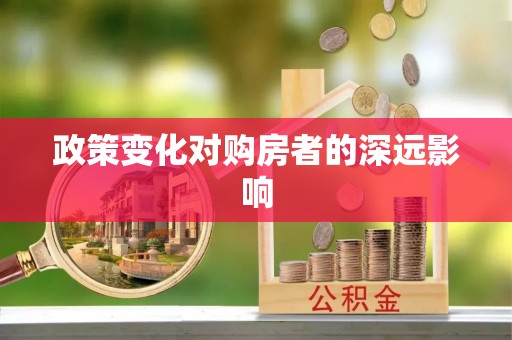兴国政策变化对购房者的深远影响