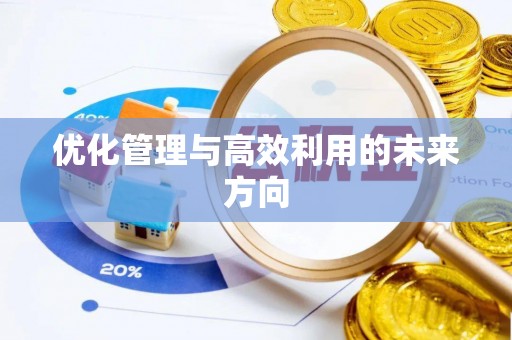 兴国优化管理与高效利用的未来方向