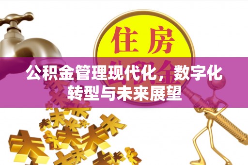 兴国公积金管理现代化，数字化转型与未来展望