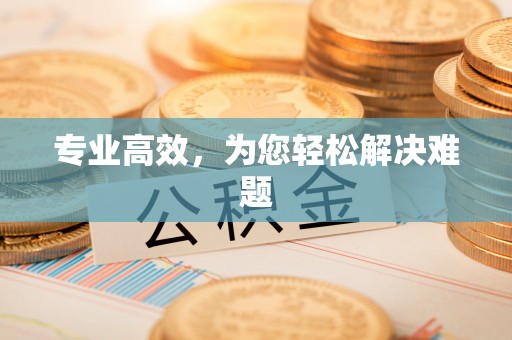 兴国专业高效，为您轻松解决难题