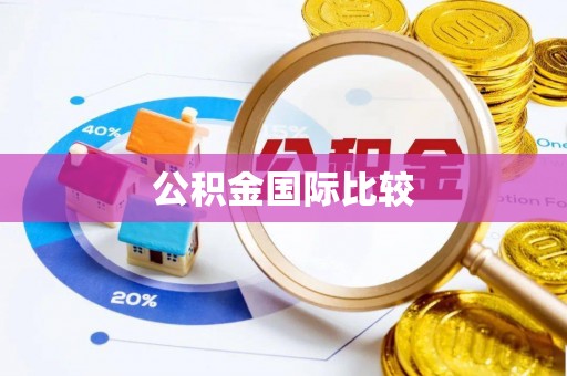 兴国公积金国际比较