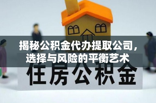 兴国揭秘公积金代办提取公司，选择与风险的平衡艺术