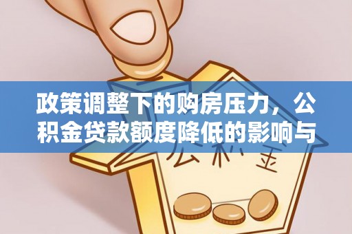 兴国政策调整下的购房压力，公积金贷款额度降低的影响与应对策略