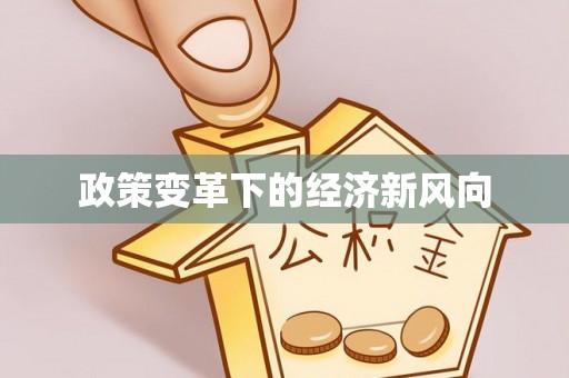 兴国政策变革下的经济新风向