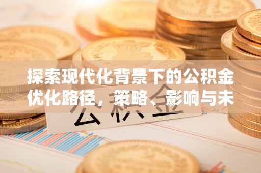兴国探索现代化背景下的公积金优化路径，策略、影响与未来展望