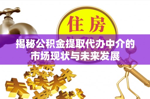 兴国揭秘公积金提取代办中介的市场现状与未来发展