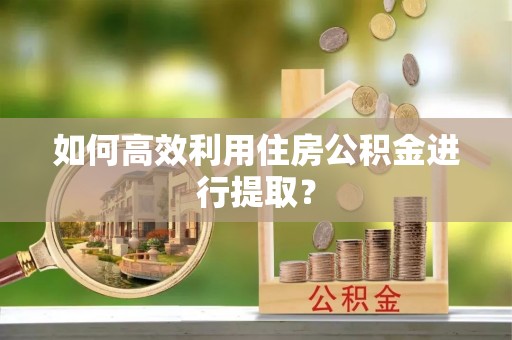 兴国如何高效利用住房公积金进行提取？