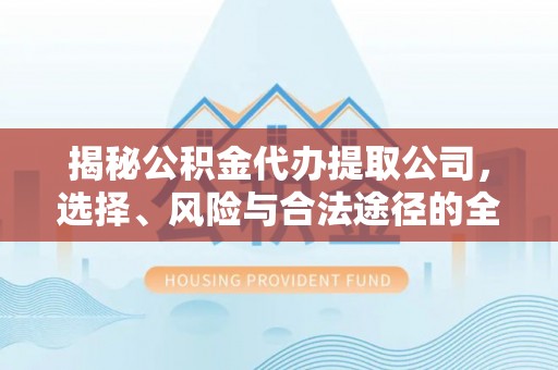 兴国揭秘公积金代办提取公司，选择、风险与合法途径的全面解析