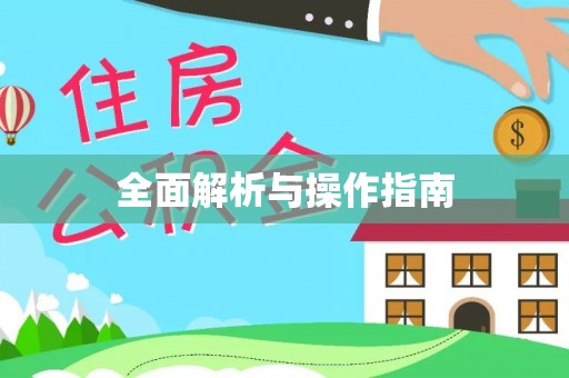 兴国全面解析与操作指南